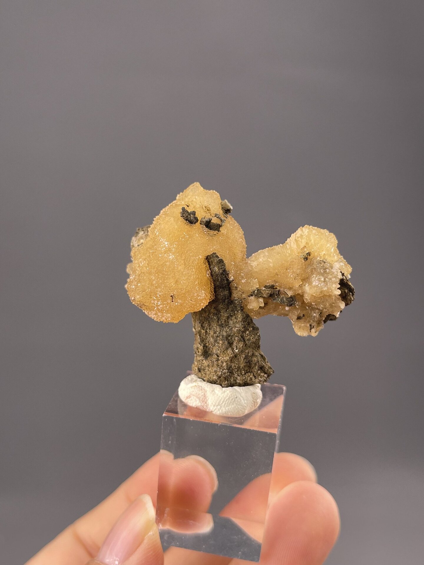 Branching yellow calcite showing stalactitic dripping form, 0.5 g