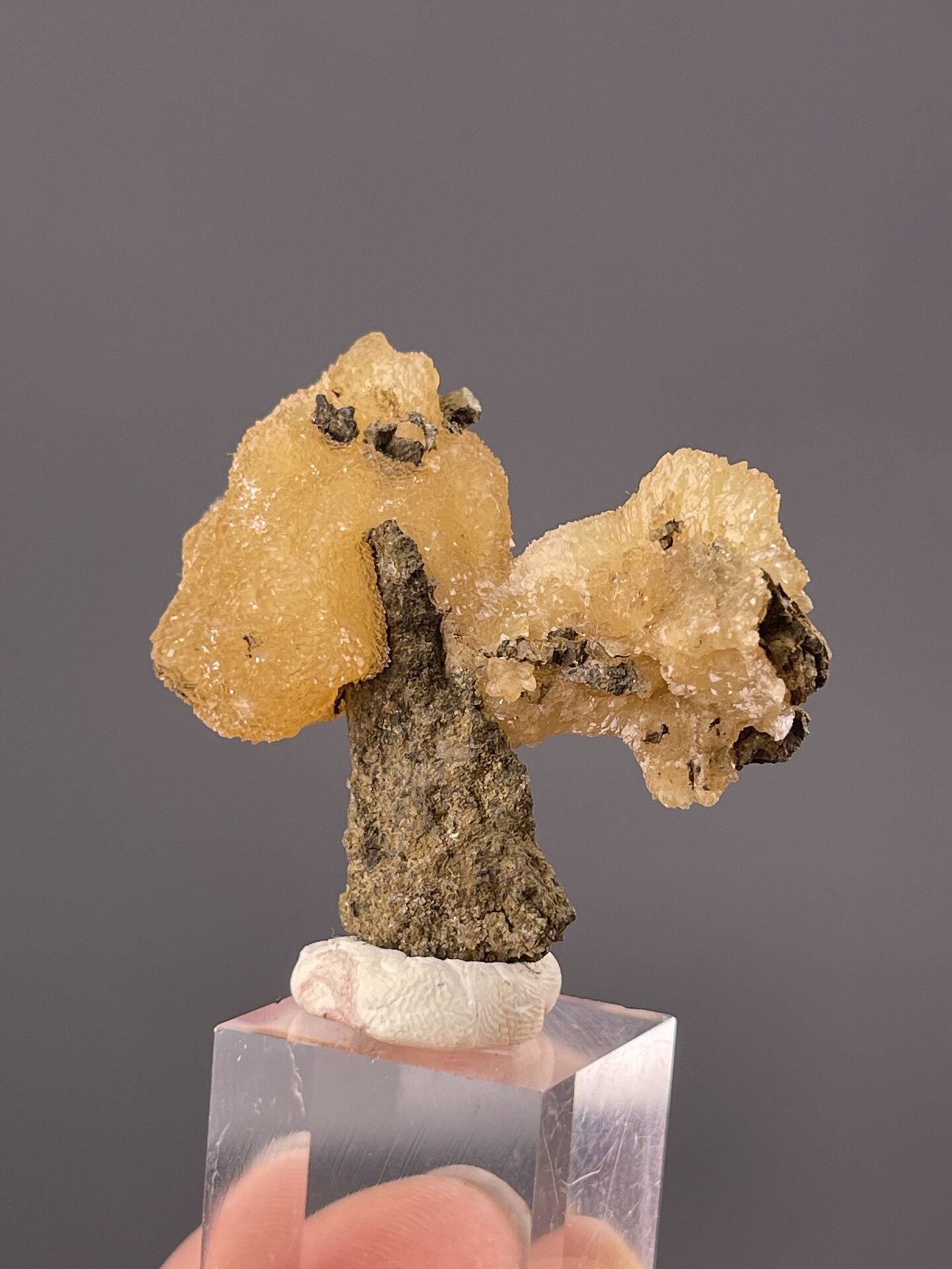 Top view of stalactitic calcite showing branching arrangement