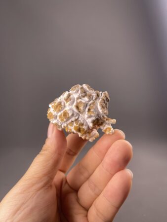 Gypsum Mineral - Popcorn Form - Textured Surface - Guizhou, China - Decorative Uses