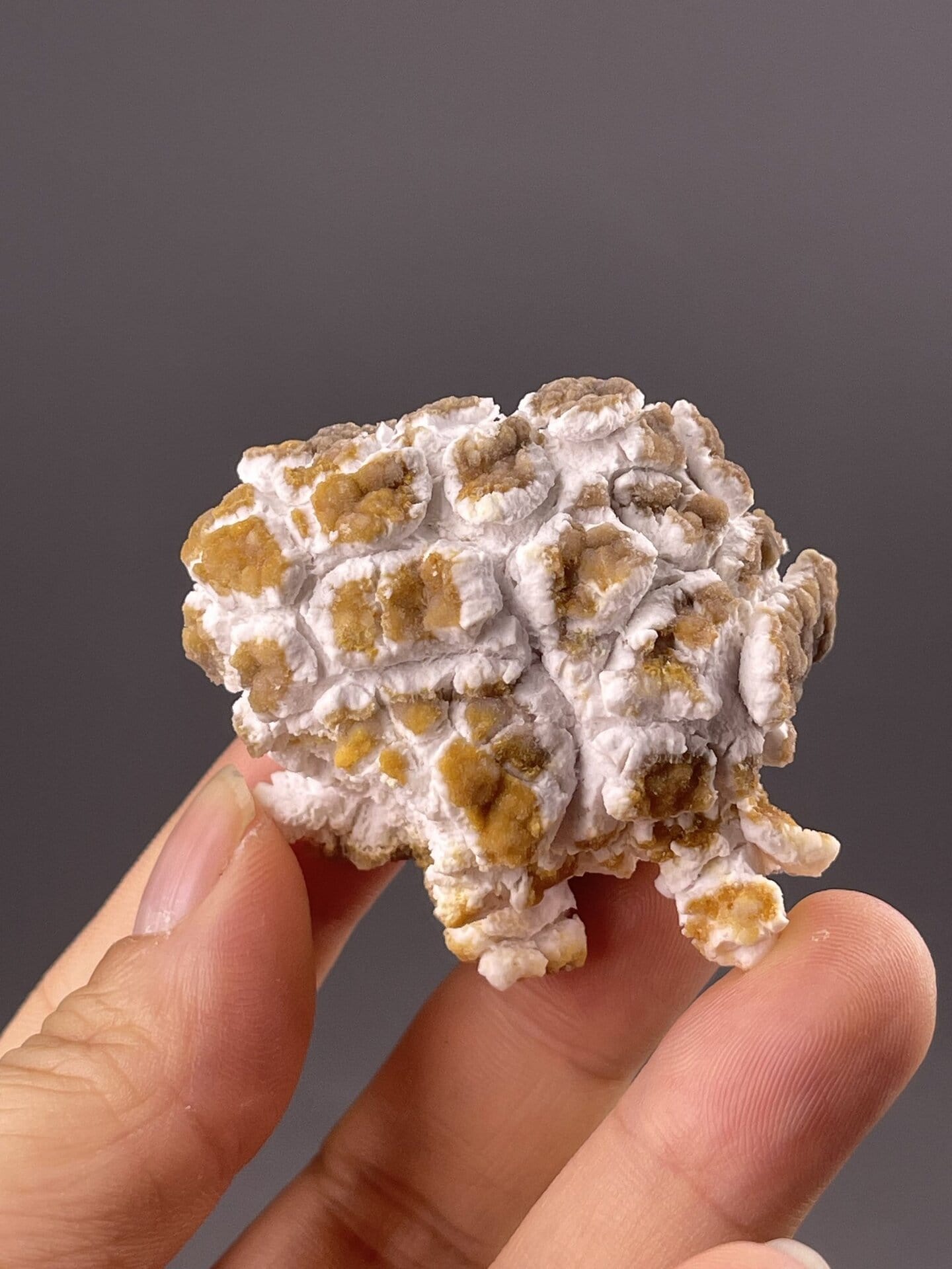 Close-up of textured gypsum surface, Popcorn Gypsum variety, Guizhou