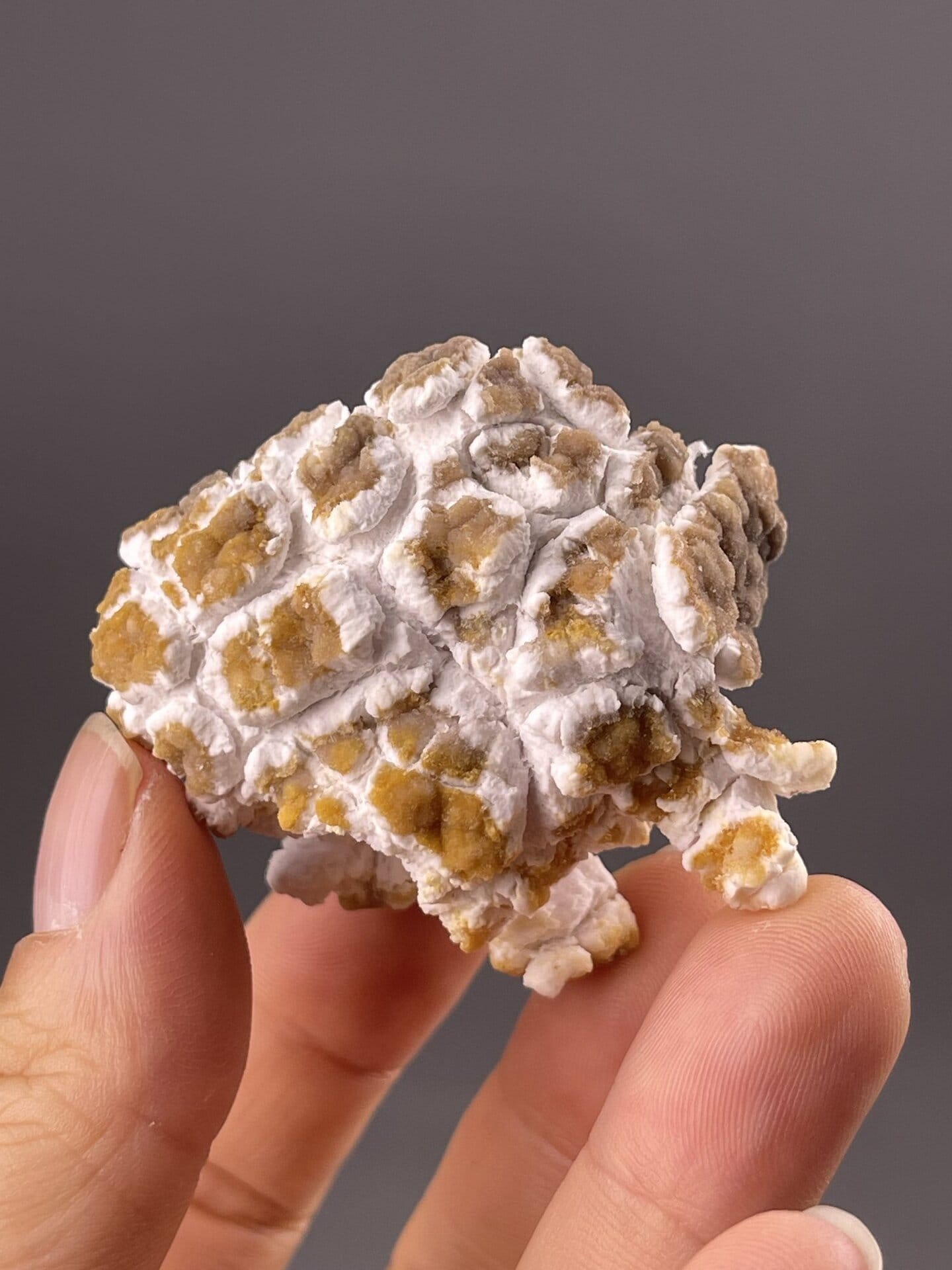 Yellowish-white gypsum nodular clusters, Guizhou, China