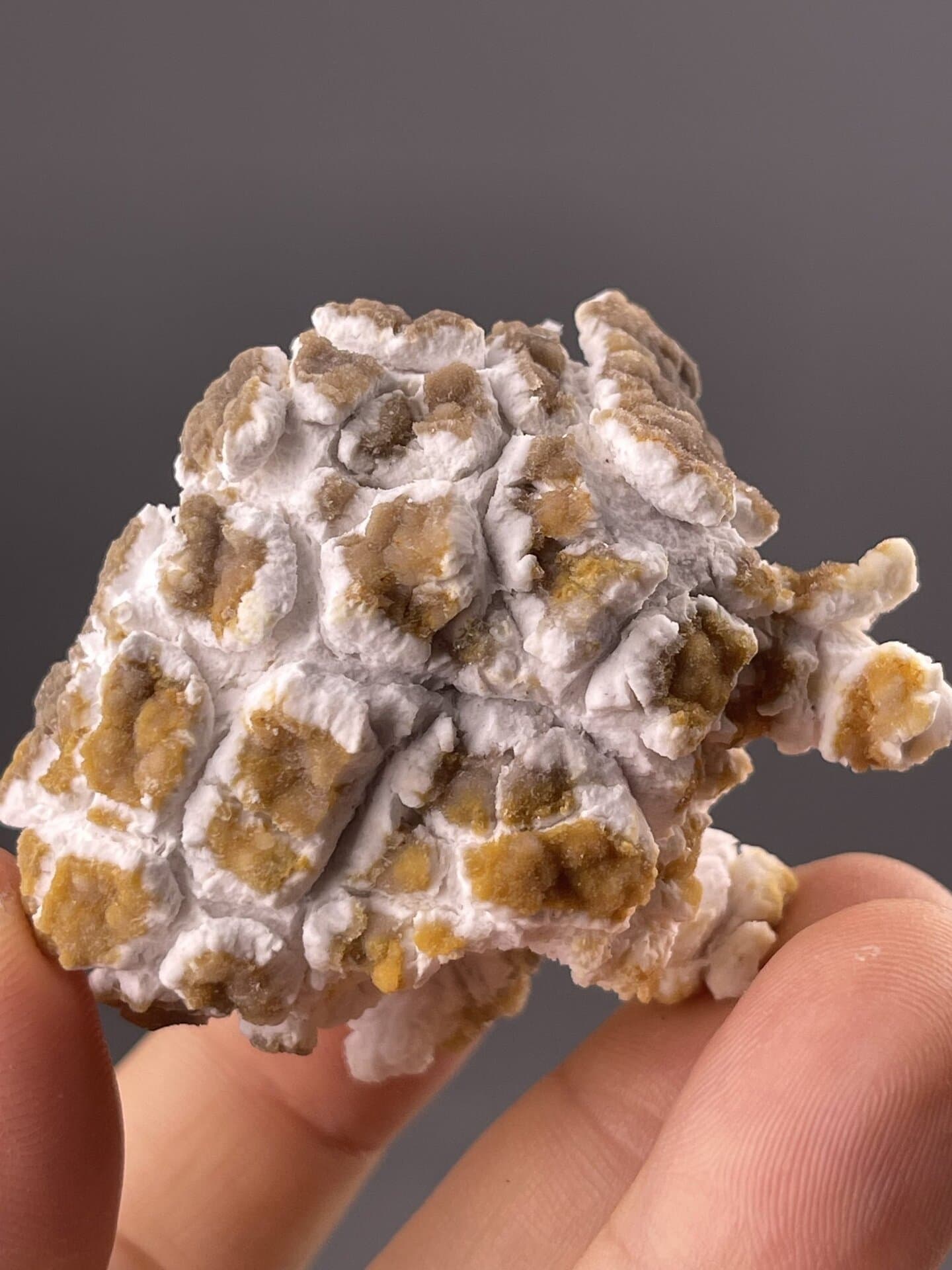 Popcorn gypsum showing distinctive bumpy surface texture, Guizhou Province