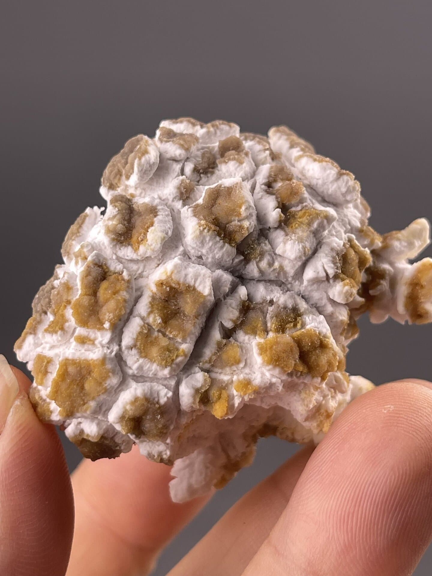 Gypsum specimen profile, nodular form, Guizhou, China