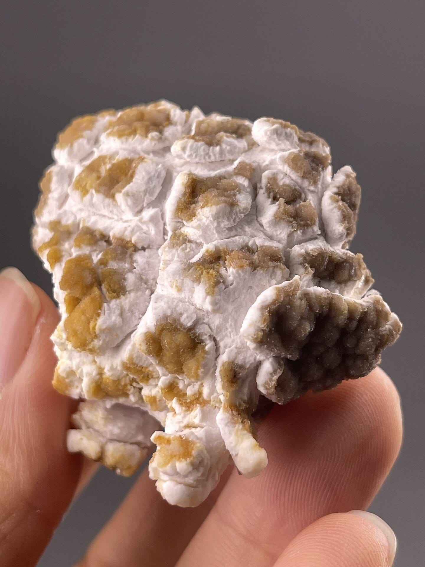 Textured gypsum cluster detail, Popcorn Gypsum, Guizhou