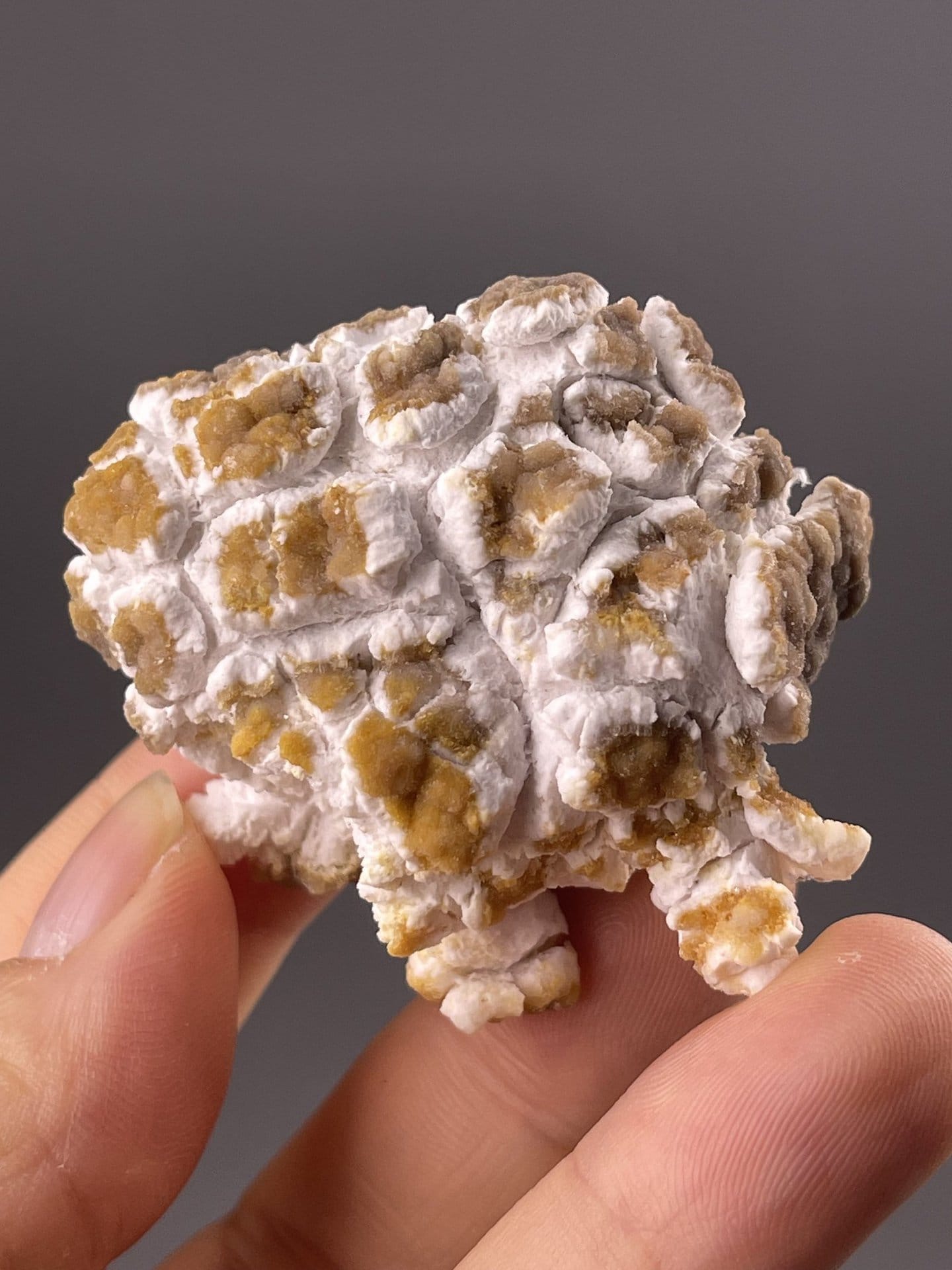 Gypsum popcorn side view, sulfate mineral, Guizhou, China