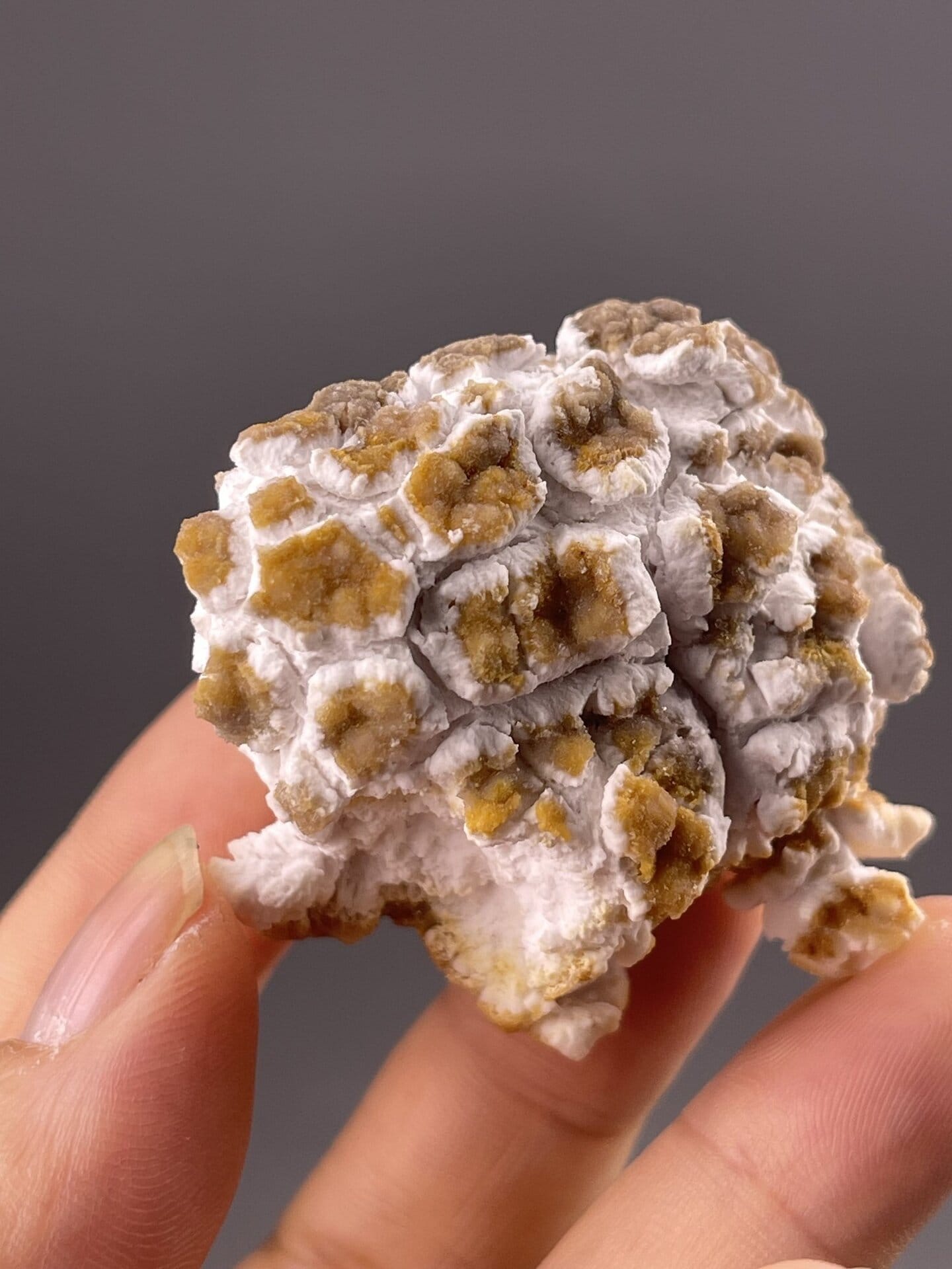 Popcorn gypsum specimen angle view, Guizhou Province, China