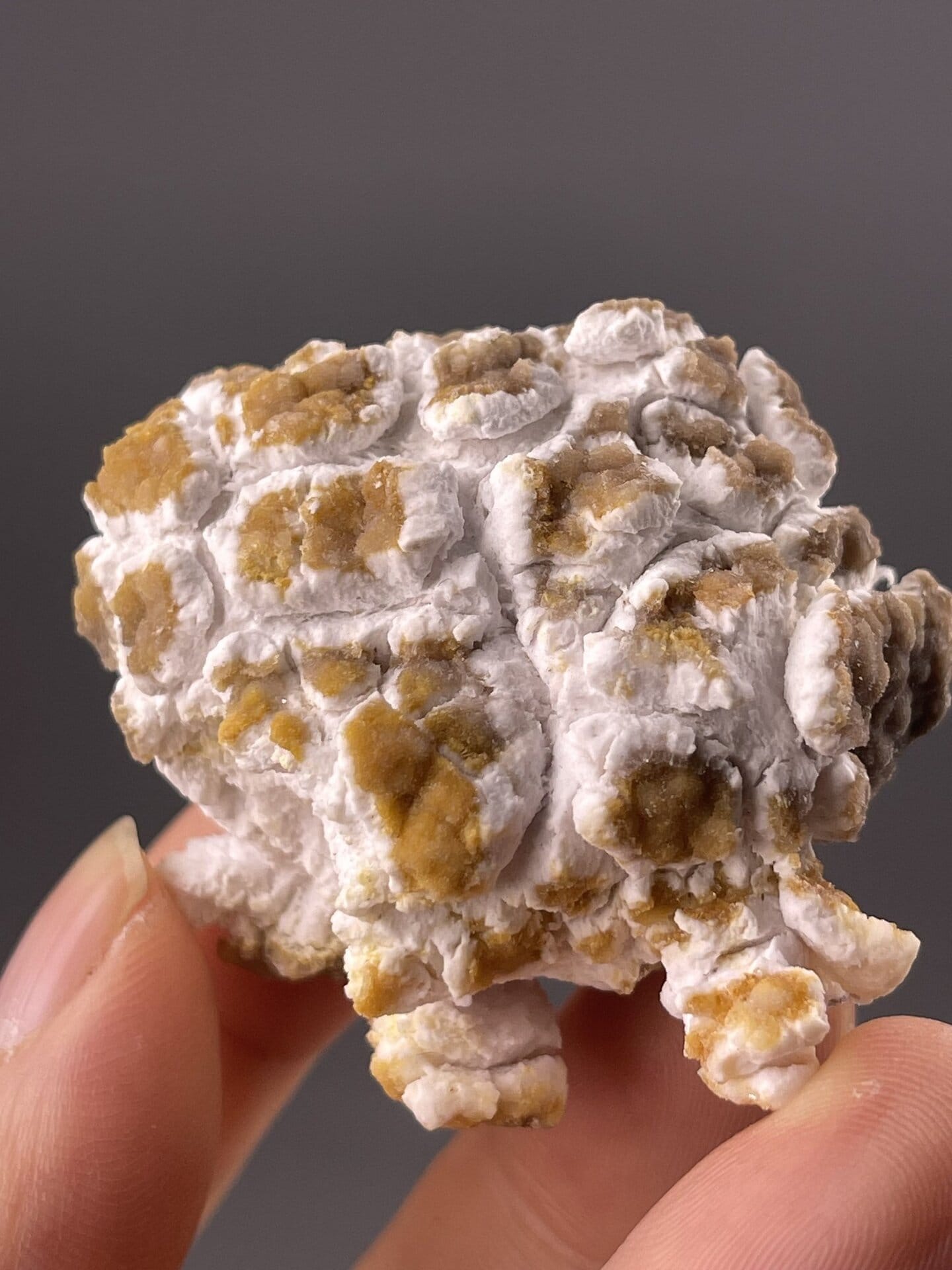 Collector gypsum specimen with unusual nodular texture, Guizhou, China