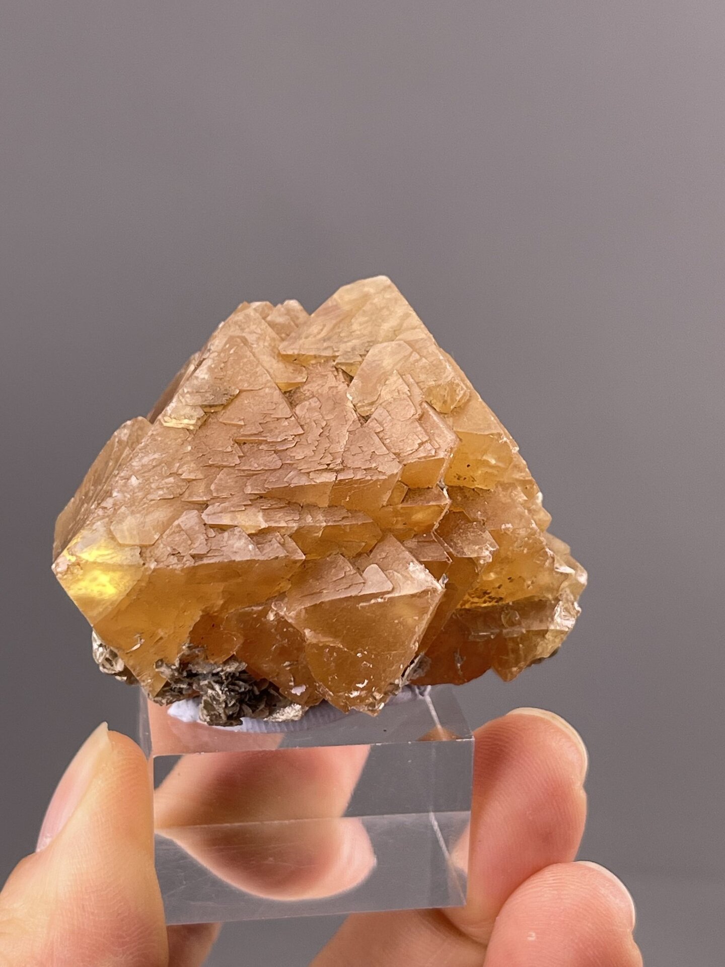 Golden Pyramidal Scheelite Crystal from Xuebaoding Mountain, Sichuan, Chin – side profile
