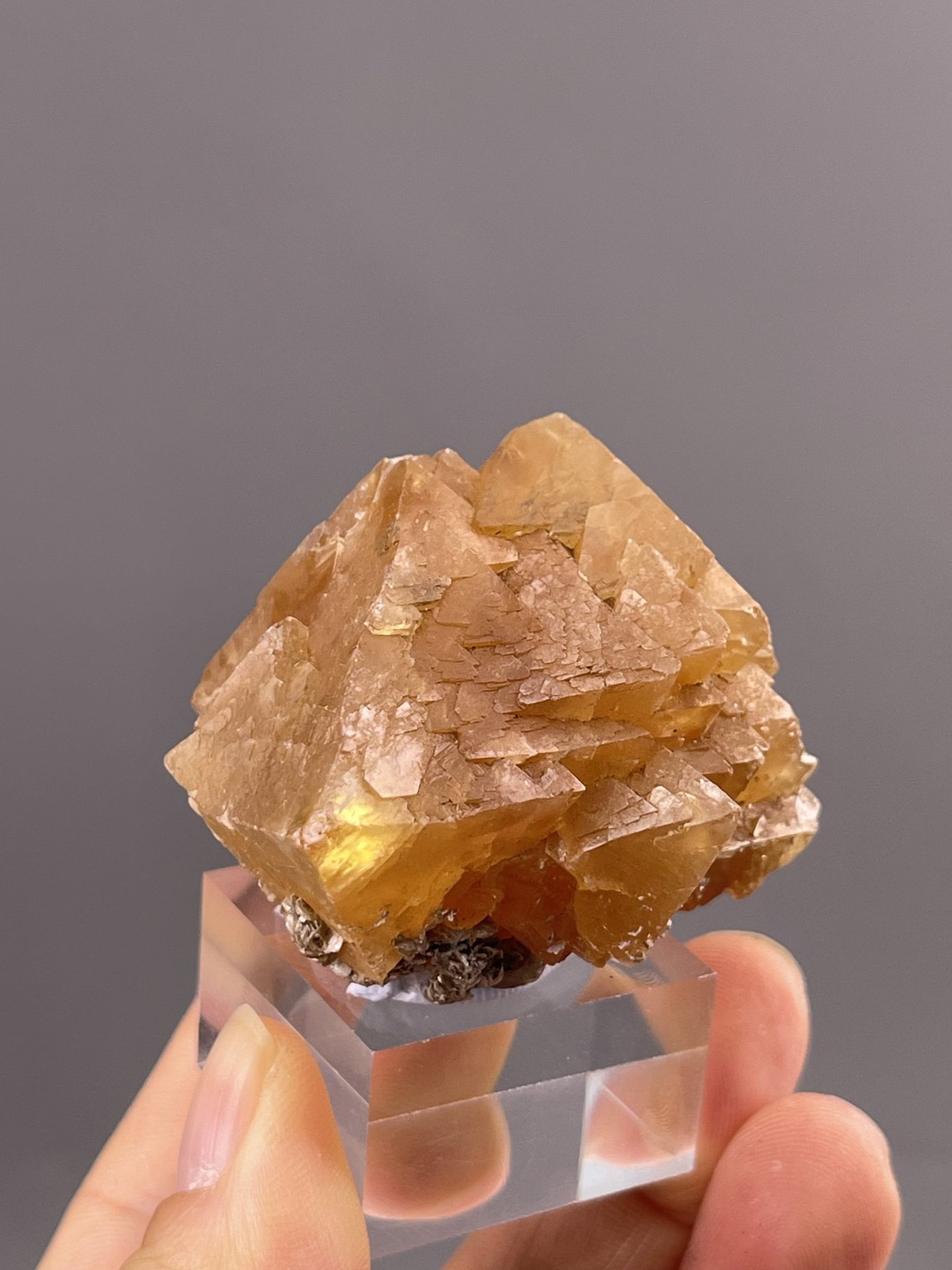 Golden Pyramidal Scheelite Crystal from Xuebaoding Mountain, Sichuan, Chin – top-down view