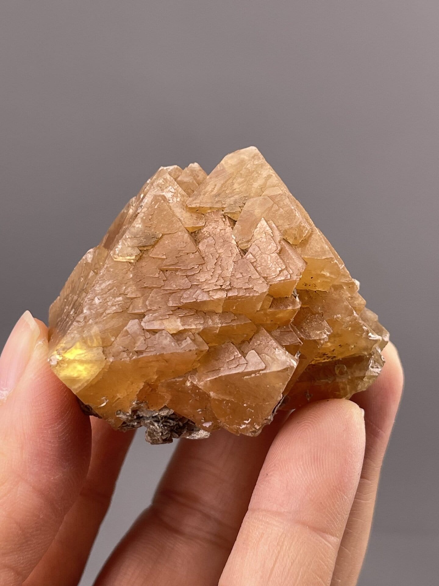 Golden Pyramidal Scheelite Crystal from Xuebaoding Mountain, Sichuan, Chin – crystal termination detail