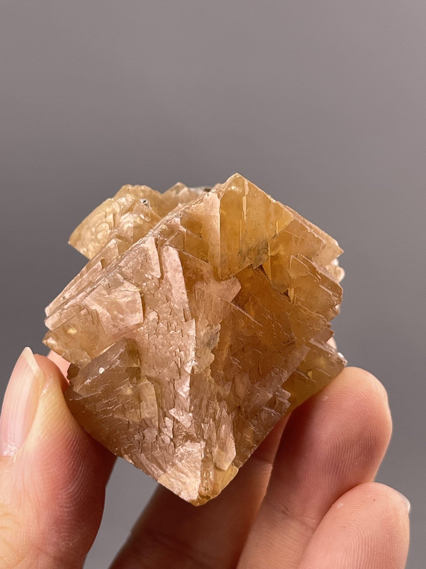 Golden Pyramidal Scheelite Crystal from Xuebaoding Mountain, Sichuan, Chin – full specimen against white background