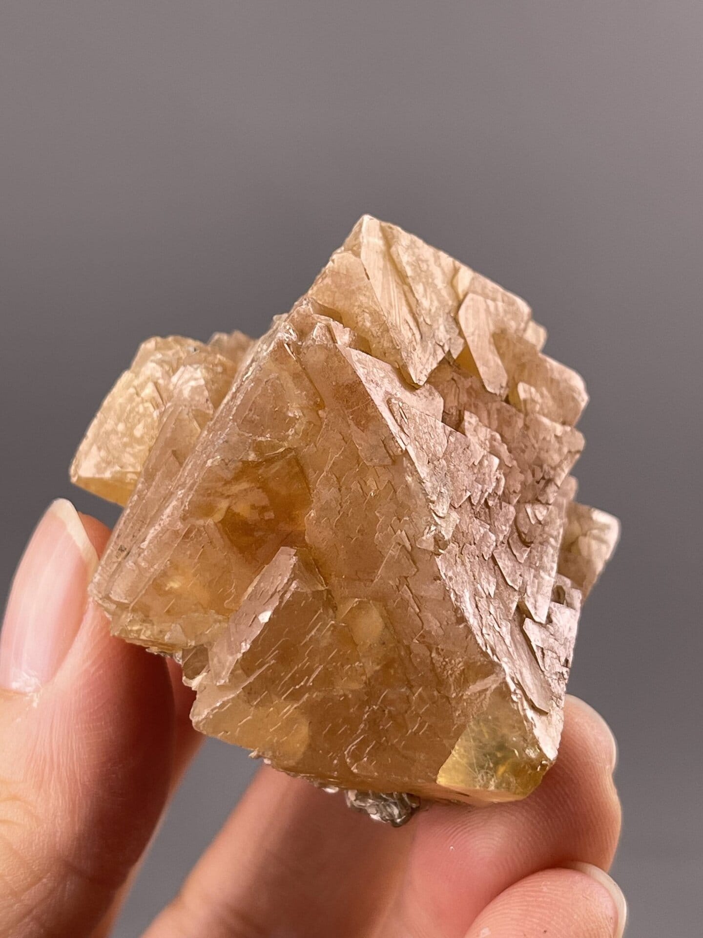 Golden Pyramidal Scheelite Crystal from Xuebaoding Mountain, Sichuan, Chin – scale reference view