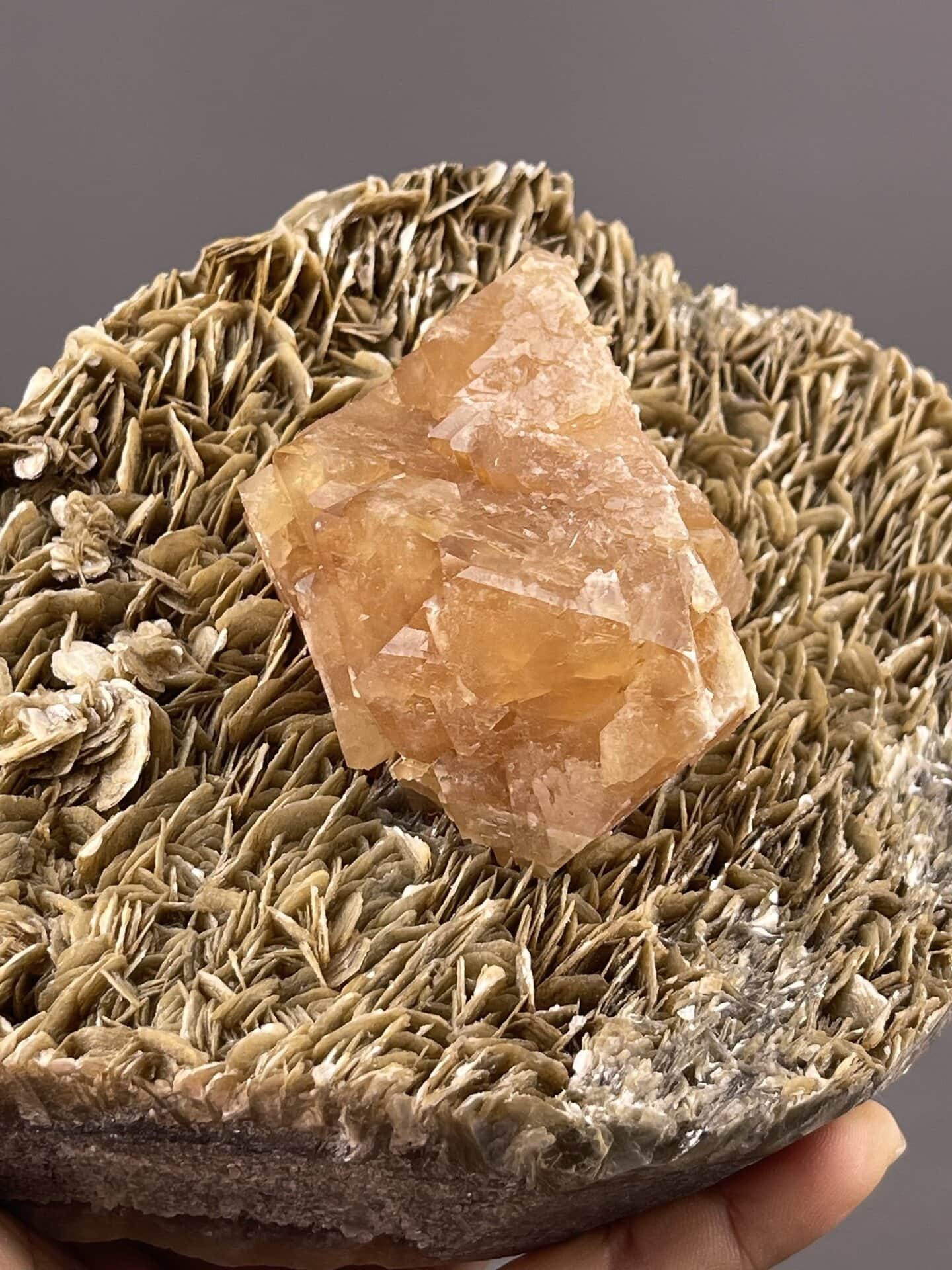 Scheelite Crystal from Xuebaoding Mountain, Sichuan – top-down view