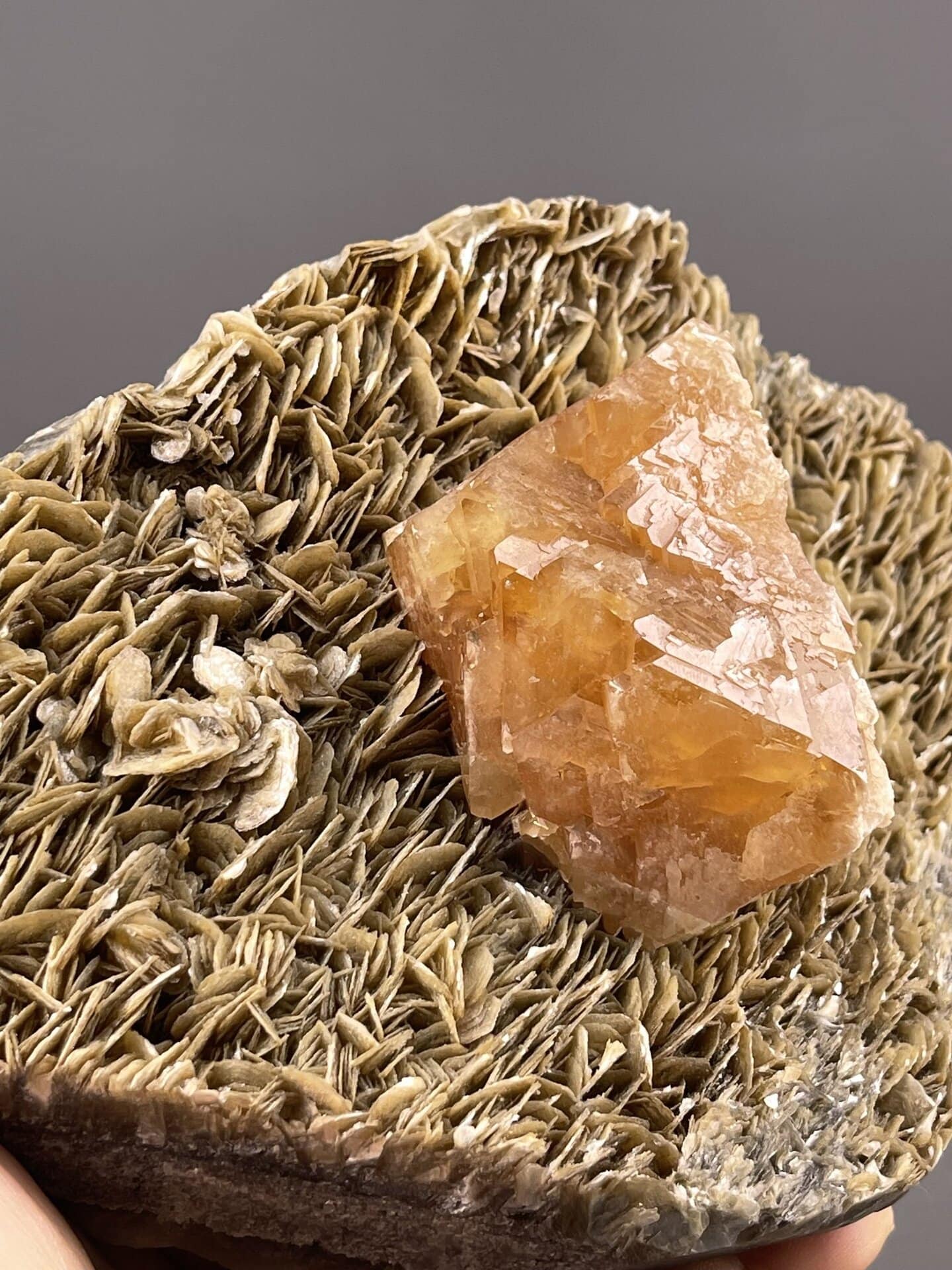 Scheelite Crystal from Xuebaoding Mountain, Sichuan – angled view showing matrix