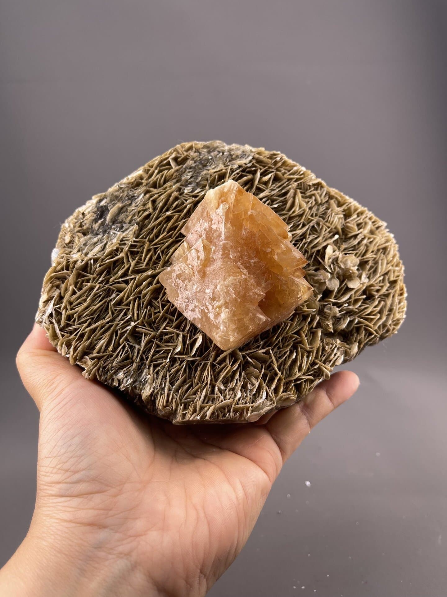 Scheelite Crystal from Xuebaoding Mountain, Sichuan – crystal termination detail