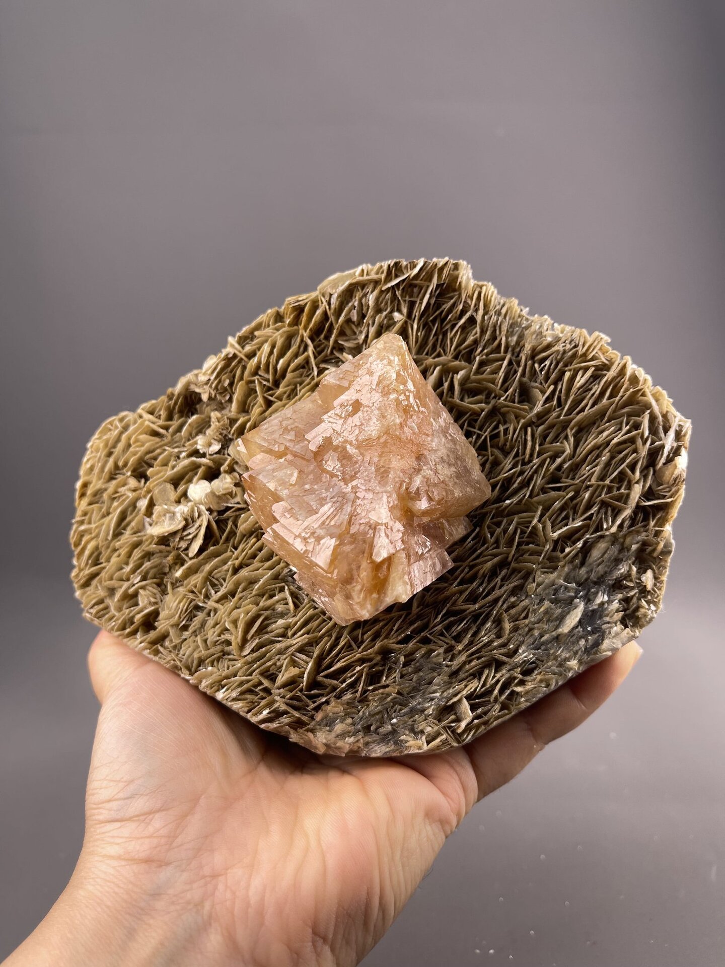 Scheelite Crystal from Xuebaoding Mountain, Sichuan – scale reference view
