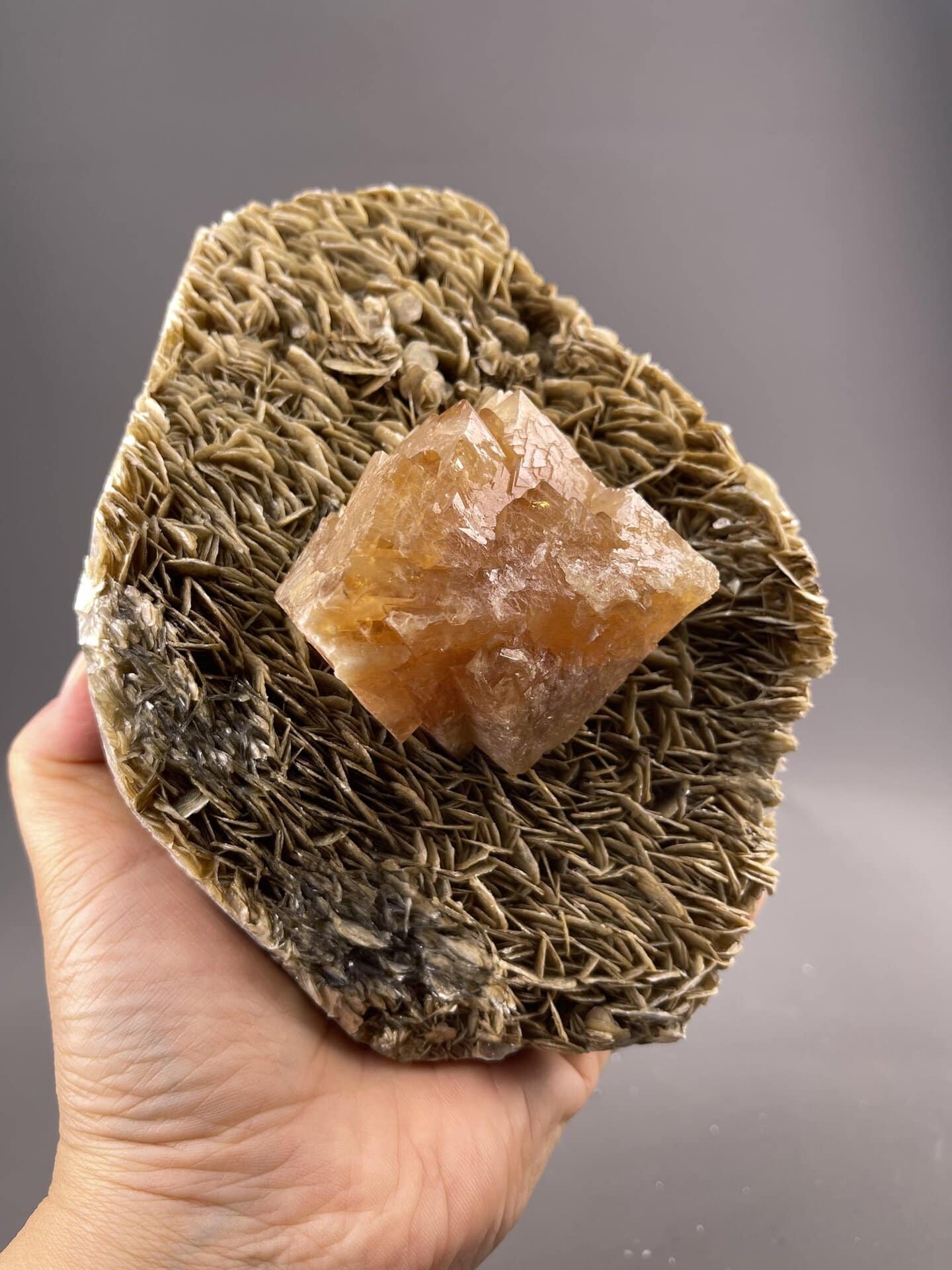 Scheelite Crystal from Xuebaoding Mountain, Sichuan – lustre and transparency detail