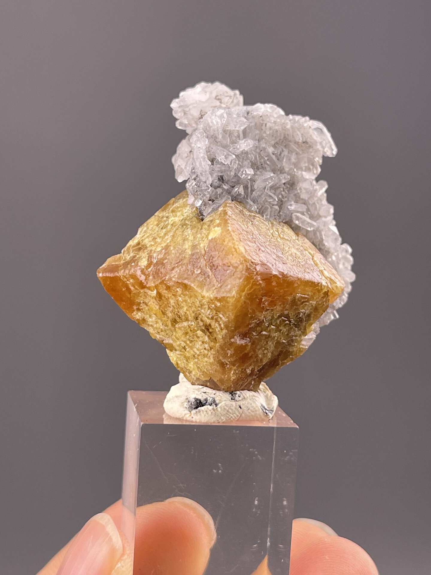 Front view of scheelite crystal, 18×12×14 mm, Xuebaoding Mountain