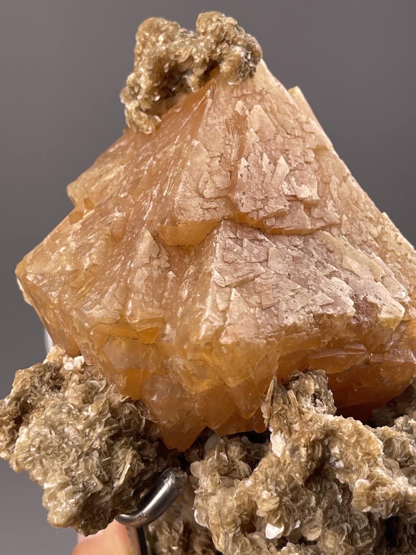 Side profile of yellow scheelite on matrix, 45×28×47 mm