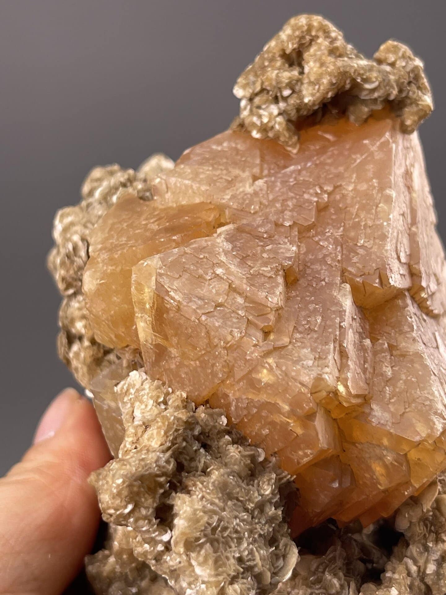 Backlit view of scheelite crystal showing translucency