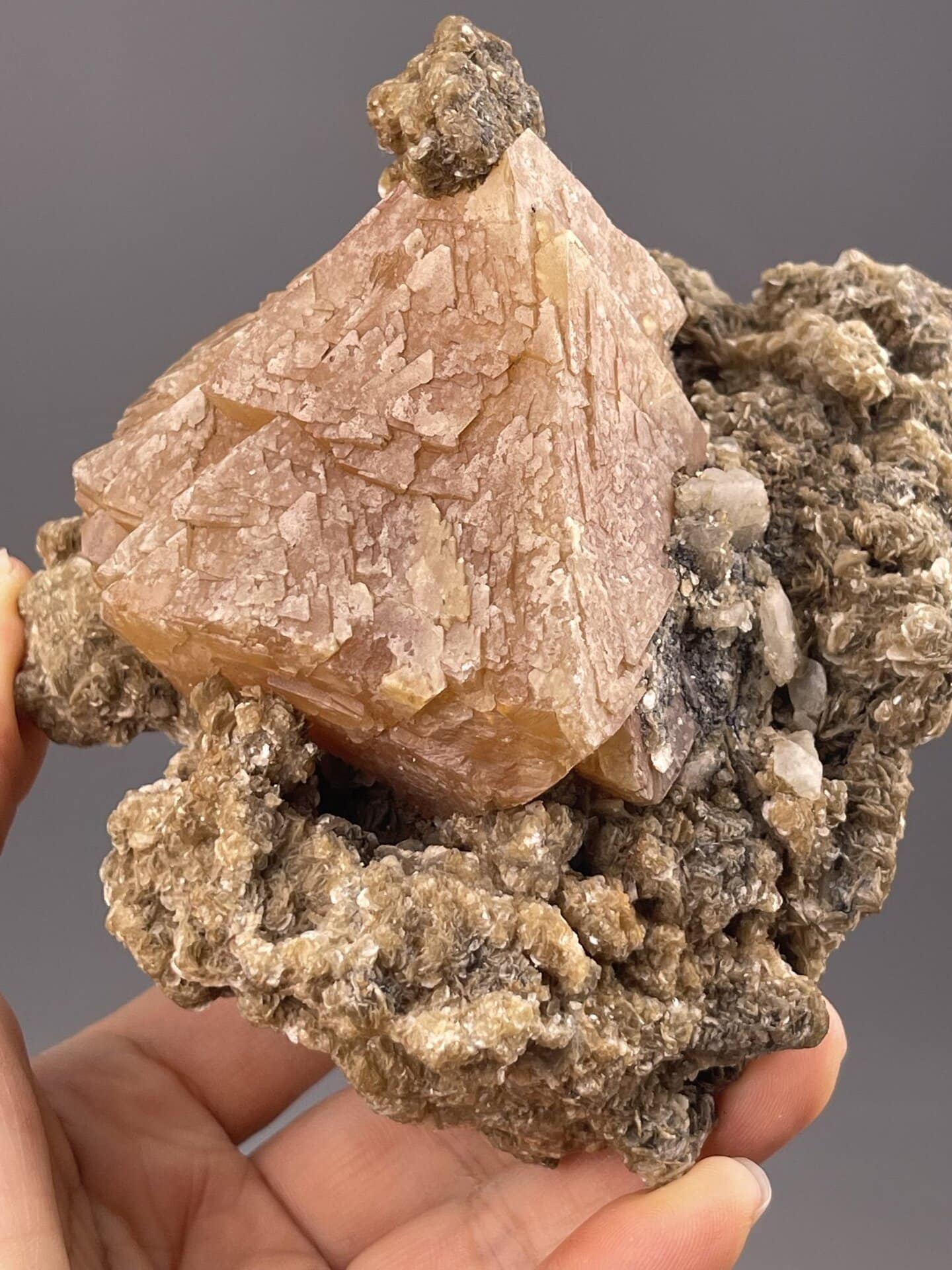 Detail of scheelite surface, 35.1 g collector specimen