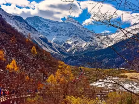 Xuebaoding mineral specimens from Sichuan Province