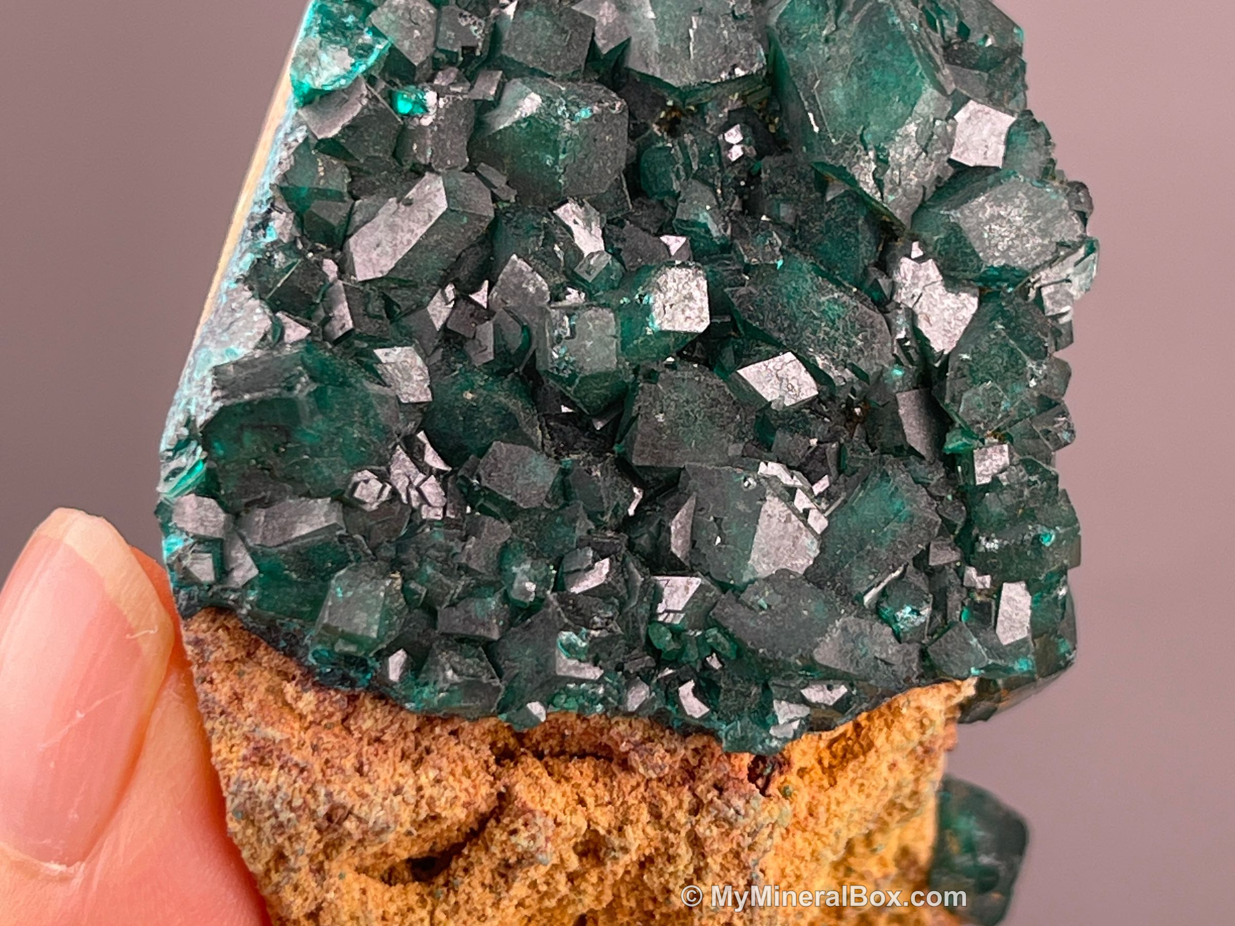 Chrysocolla with malachite — MyMineralBox specimen
