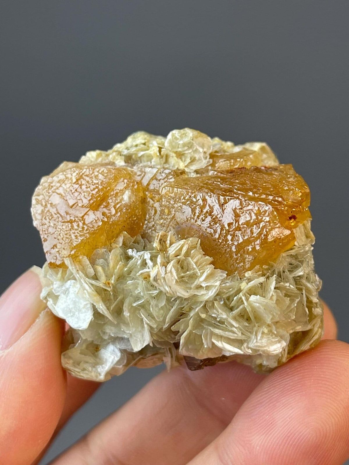 Scheelite twinned octahedral crystals on matrix specimen