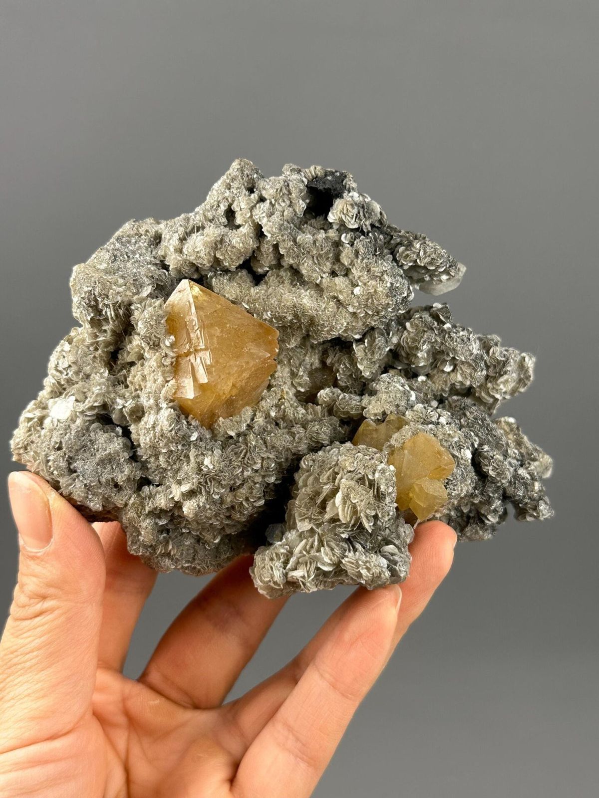 Scheelite crystal on mica matrix Sichuan China front view