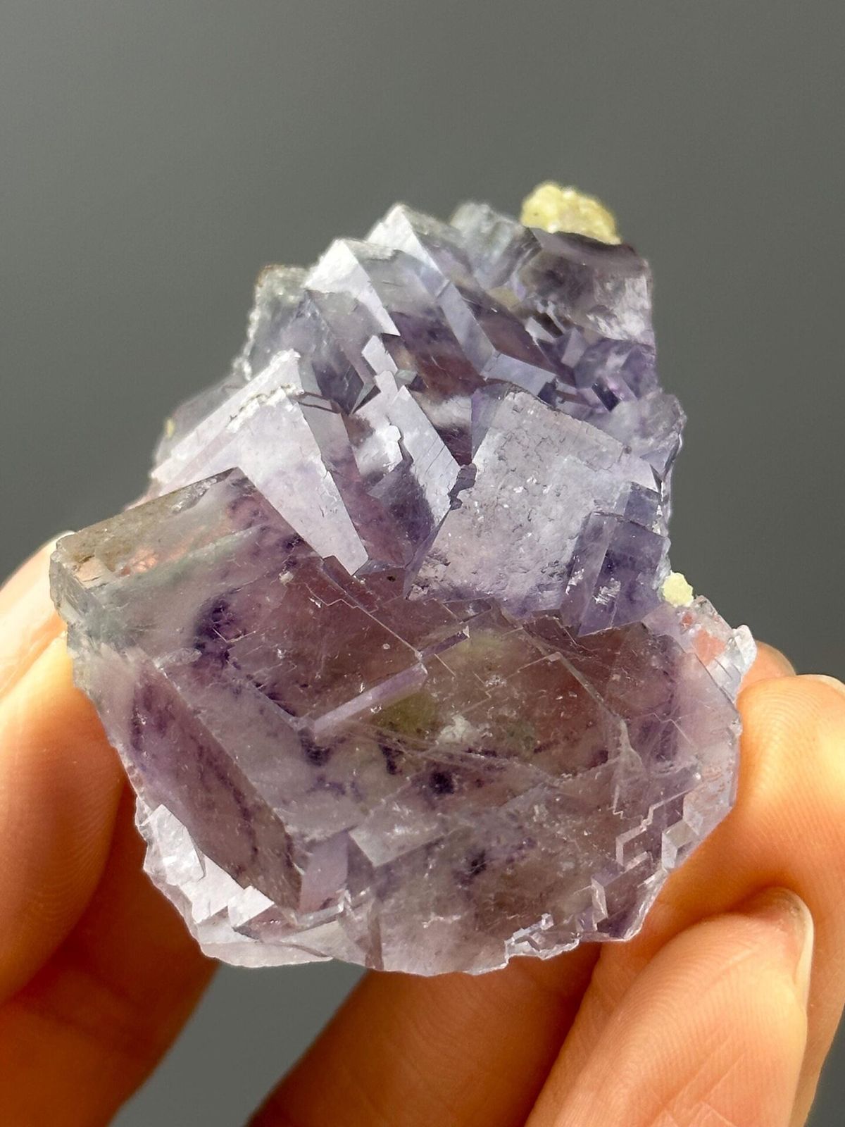 Deep purple twinned phantom fluorite from Yaogangxian Mine, Hunan