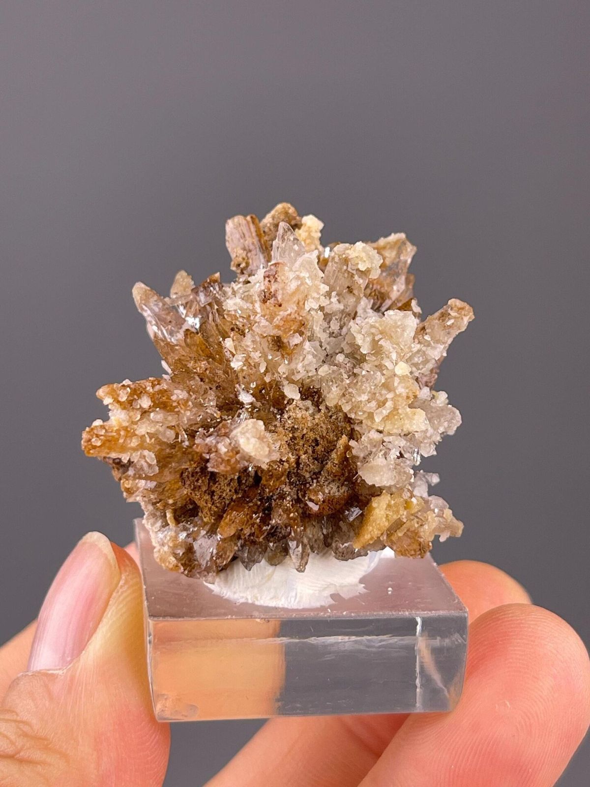 Gypsum flower mineral specimen from Guizhou, China