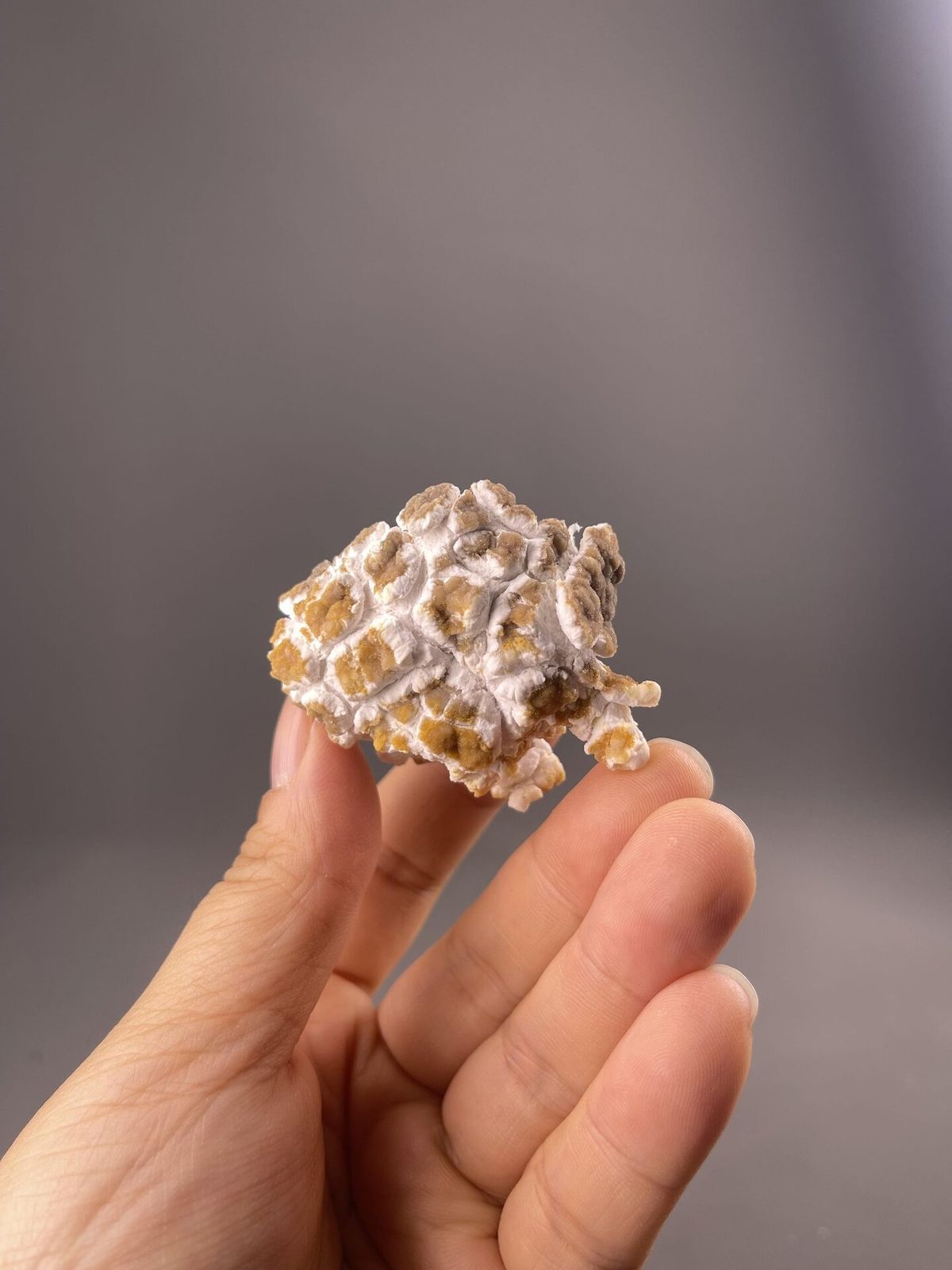 Popcorn gypsum specimen with nodular texture, Guizhou, China