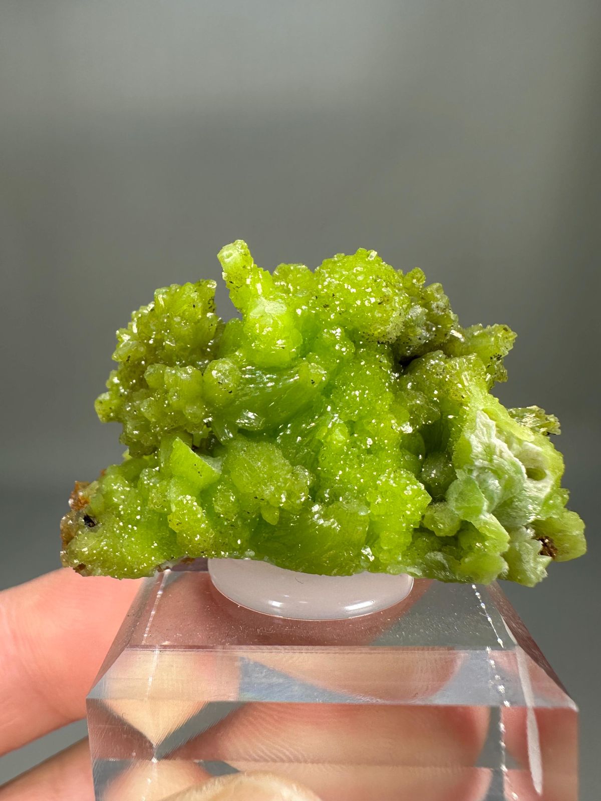 Pyromorphite Green Cluster | Guangxi China | Hexagonal Crystals | Collector's Mineral Specimen