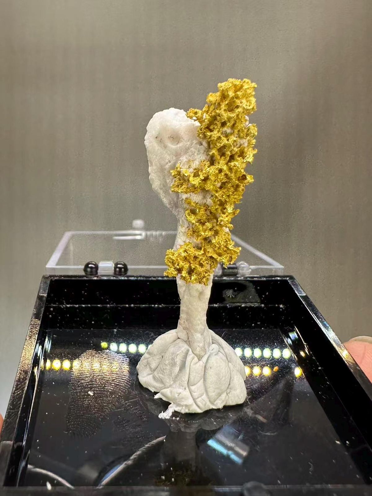 Natural Native Gold Specimen Henan Luoyang China - Crystallized Gold Dendrite on White Matrix Element Collector - SKU H1031