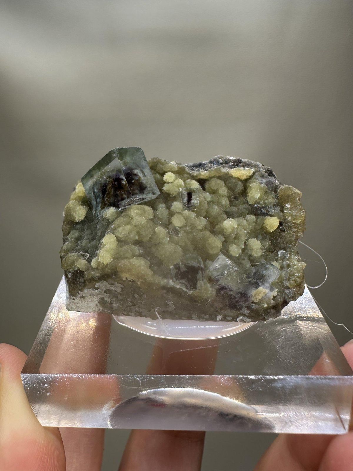 Phantom Fluorite Crystal | Natural Green Cubic Fluorite | Inner Mongolia China | Collector Mineral Specimen