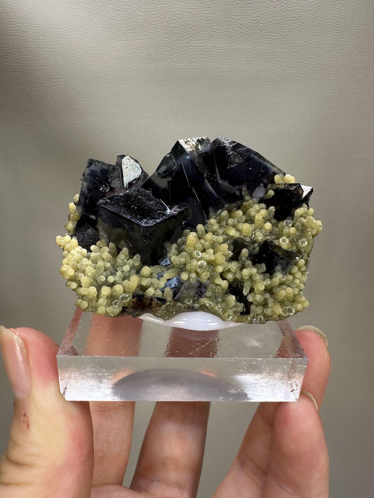Phantom Fluorite Cube | Natural Green Cubic Fluorite | Inner Mongolia China | Collector Mineral Specimen