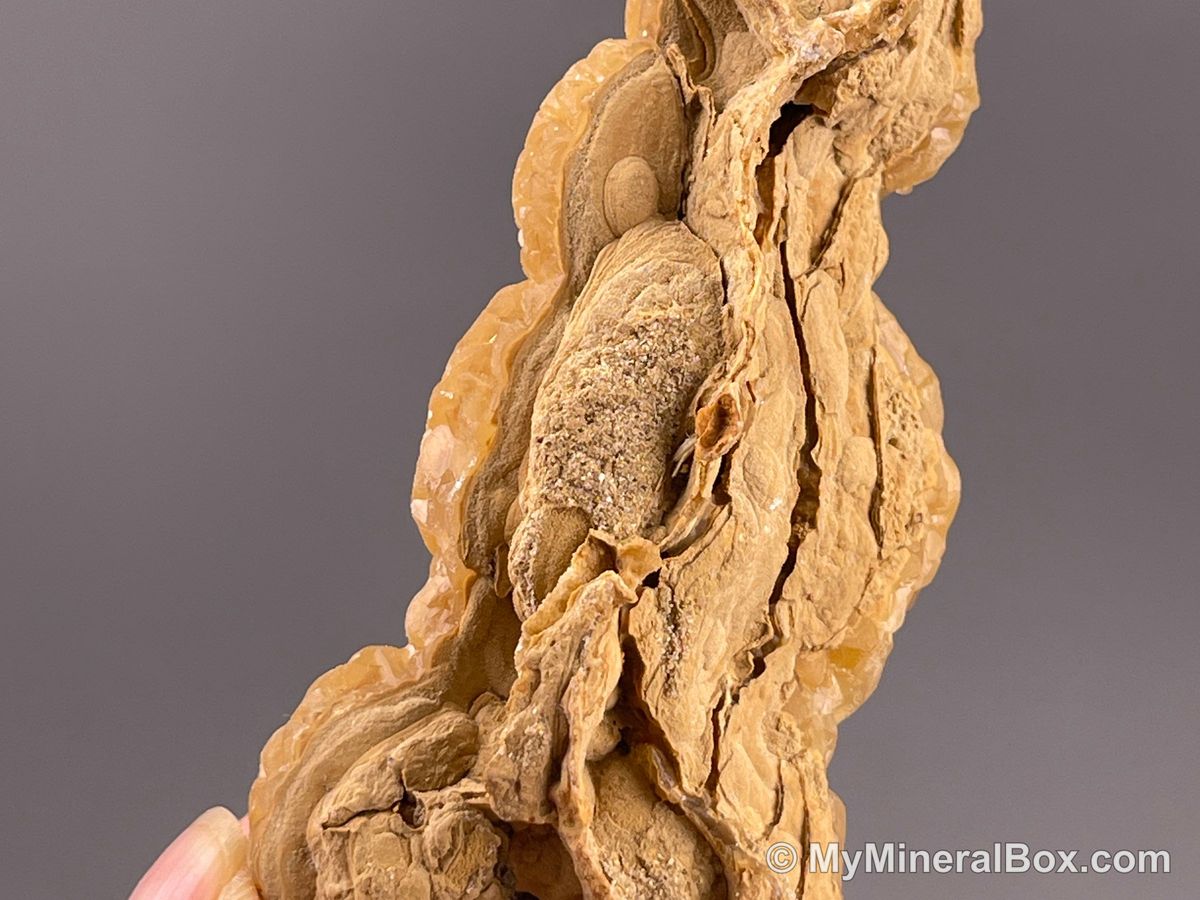 Botryoidal Aragonite/Calcite — Yunnan, China