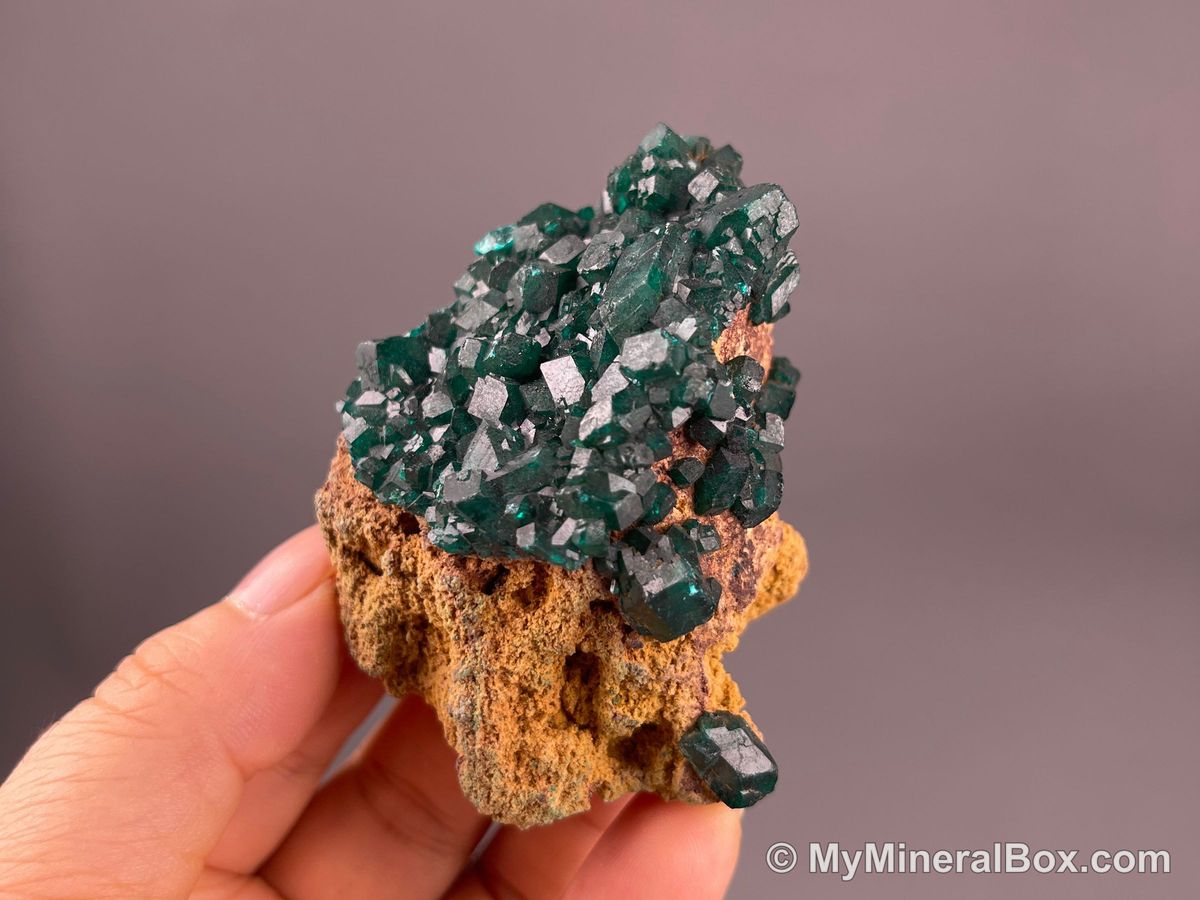Chrysocolla with Malachite — DR Congo