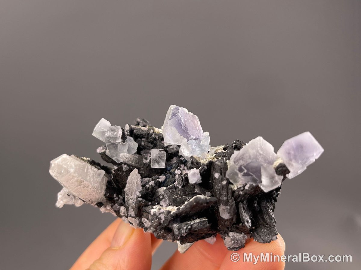 Fluorite with Wolframite Group, Possible Cassiterite & Chalcopyrite — Yaogangxian Mine, Hunan, China
