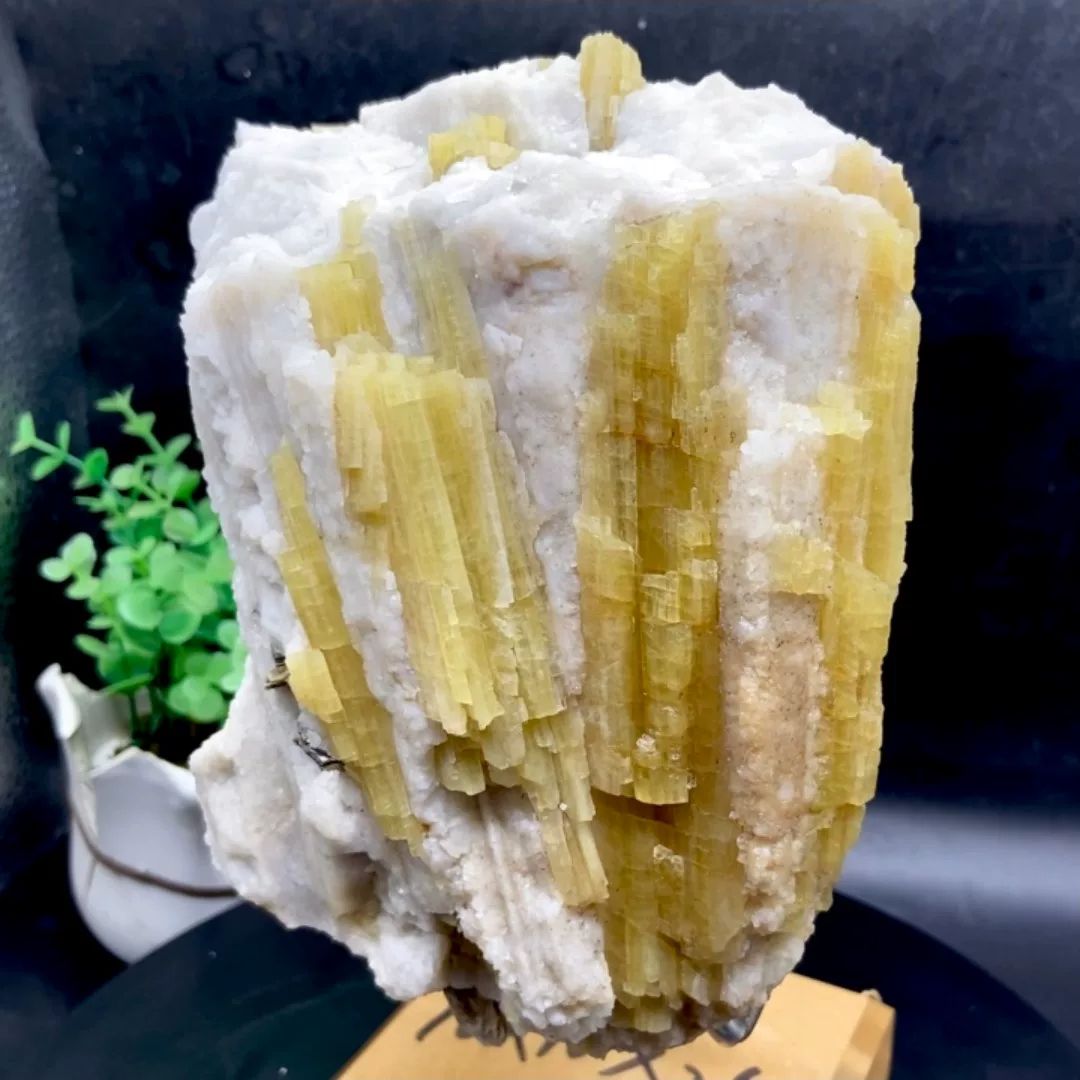 Block of golden topaz columns in white matrix from Germany, held in gloved hand