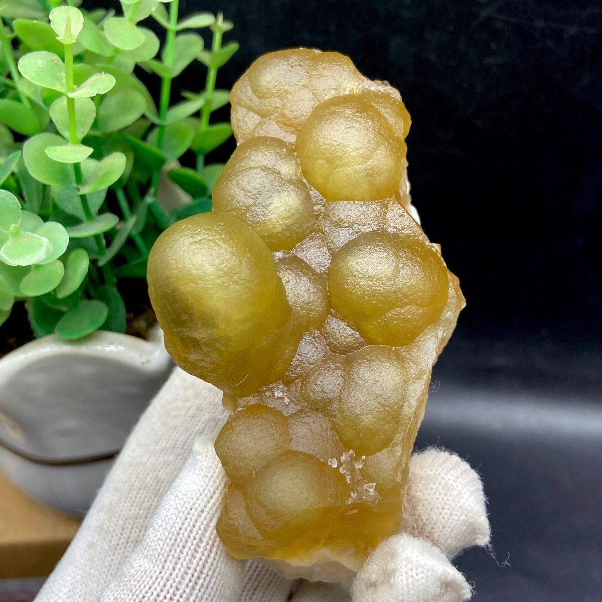 Complete upright side view of yellow botryoidal fluorite specimen