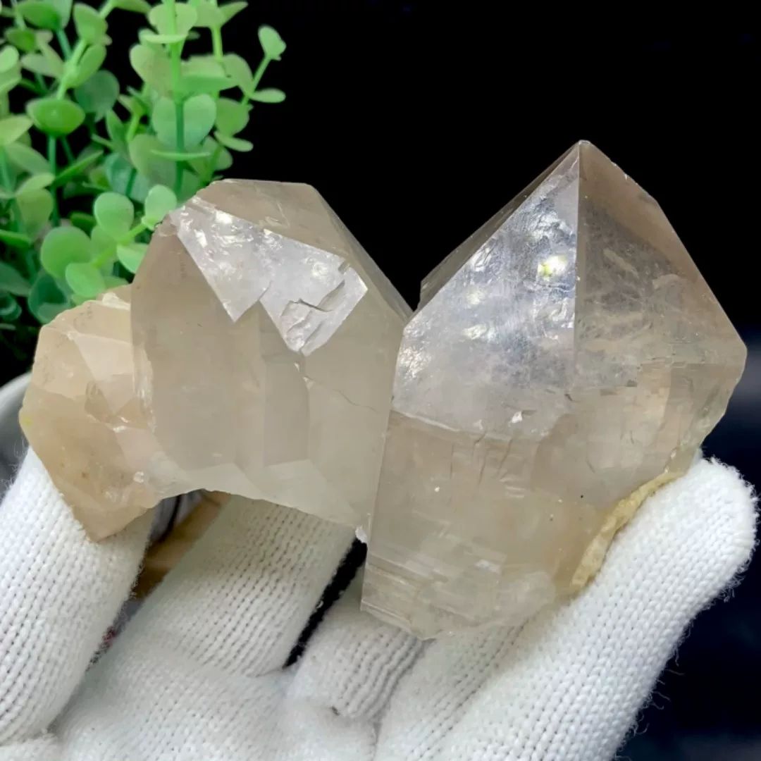 Two pale topaz crystals with sharp terminations from Pakistan, held in gloved hand