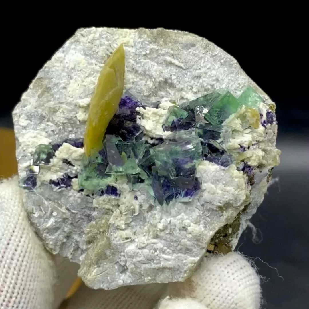Purple-cored green fluorite cubes with yellow siderite blade from Inner Mongolia, China, held in gloved hand