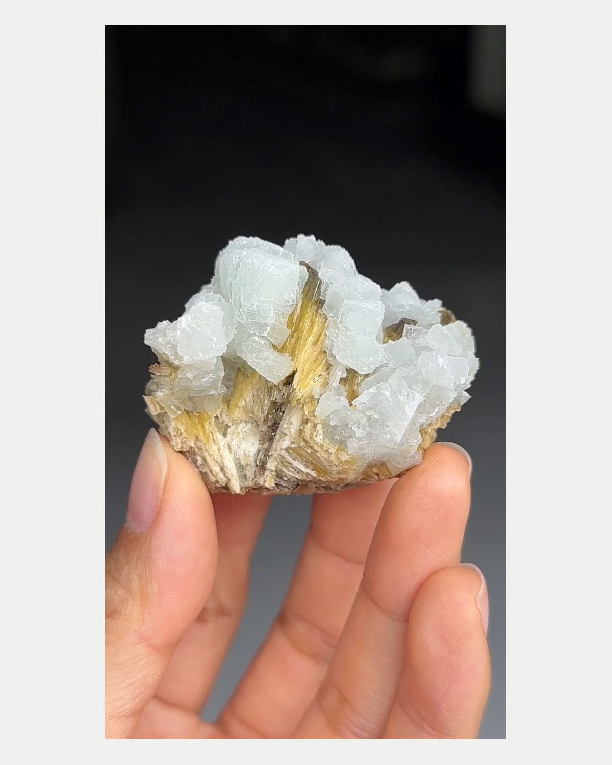 Complete front view of prehnite with clinozoisite