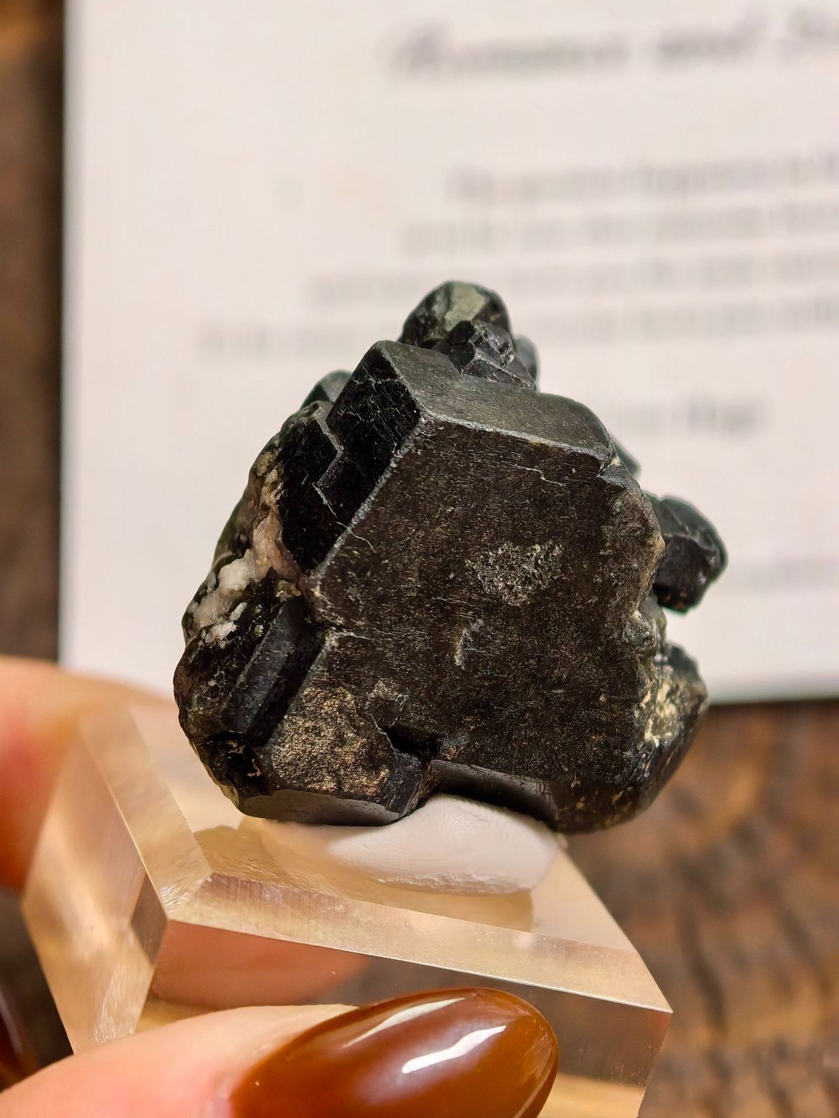 Black Garnet Crystal with Green Translucence — Canada — individual mineral specimen view 1