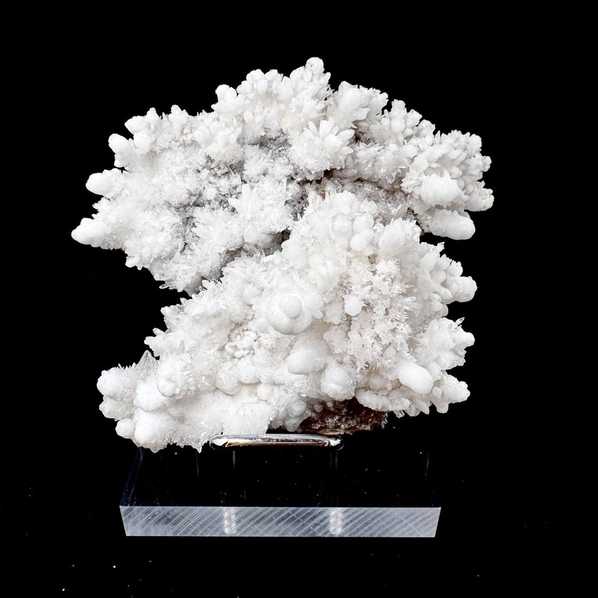 White Hydrozincite Flower Cluster Guiyang 7.0 cm — complete view