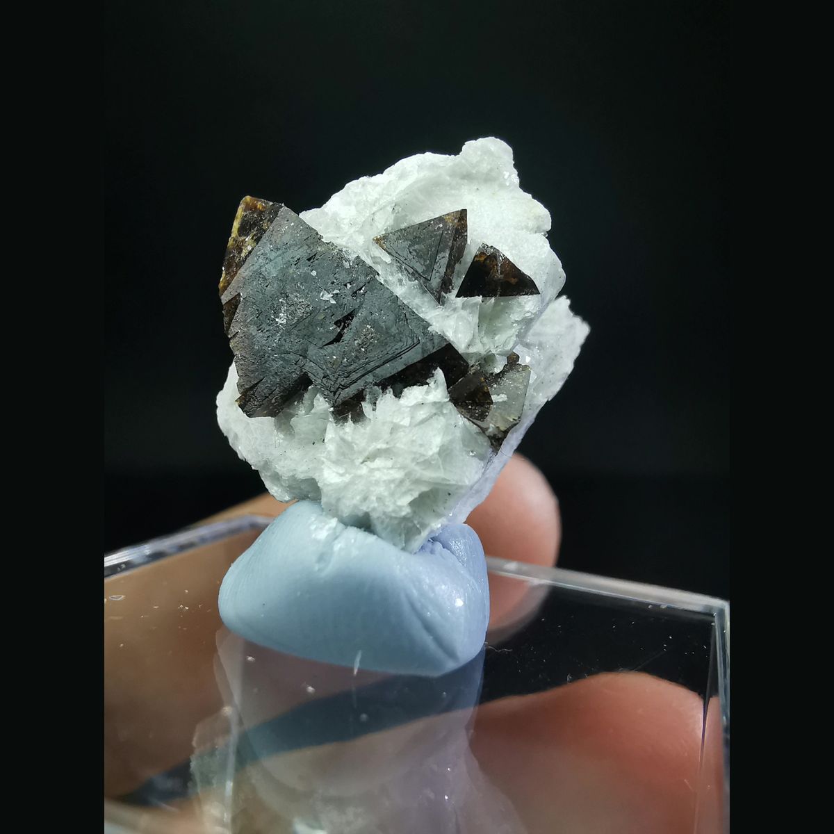 Helvine cluster half-wrapped in calcite — complete view