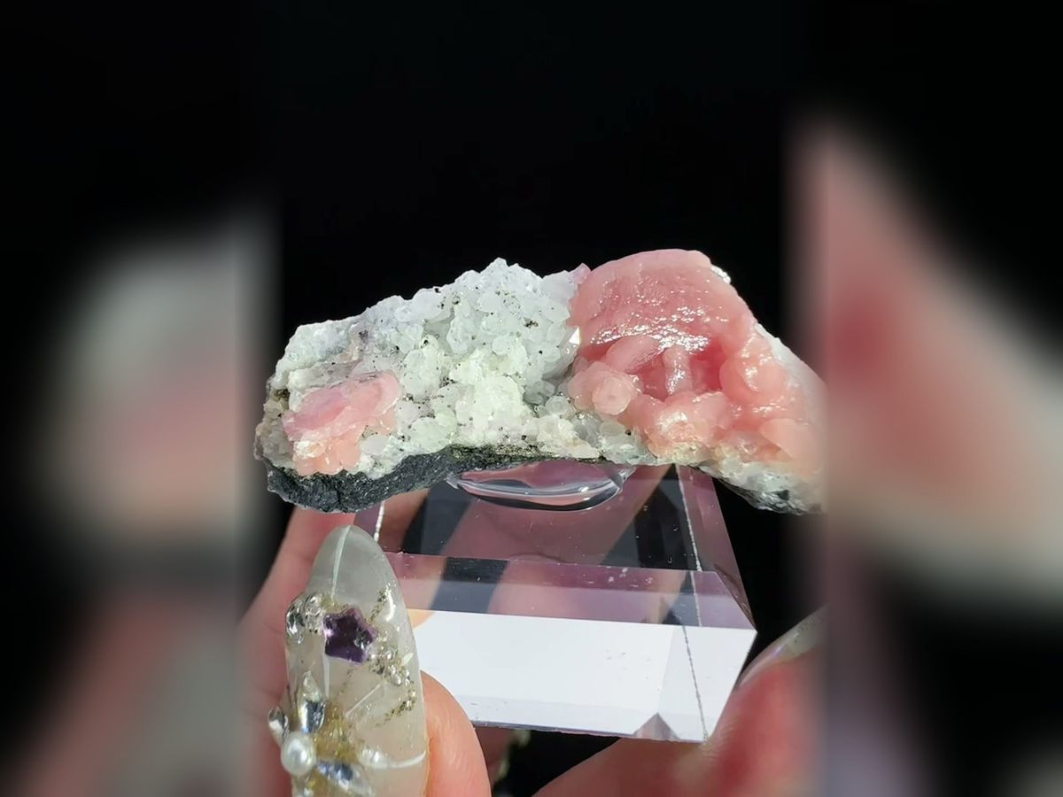 Rhodochrosite Petal Cluster with Pyrite and Quartz, Mineral Specimen — complete view