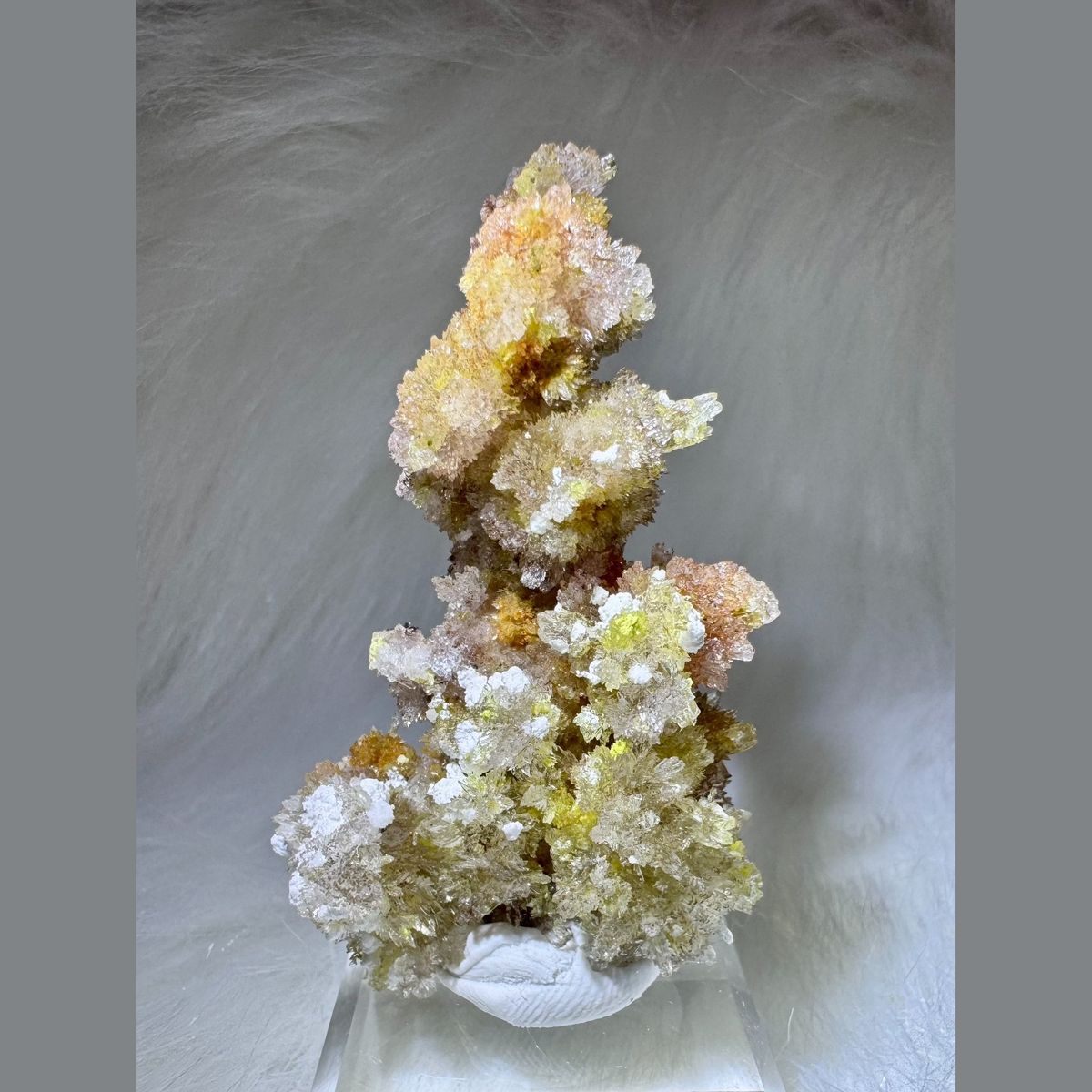 Yellow Creedite with Carlhintzeite 5.0 cm — complete view