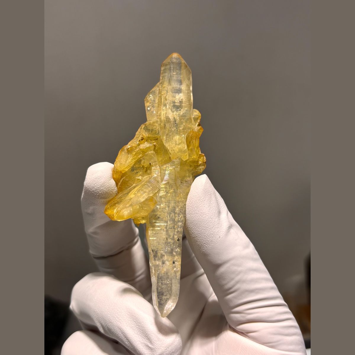 Long quartz point with golden yellow coated crystals from Pakistan — complete view